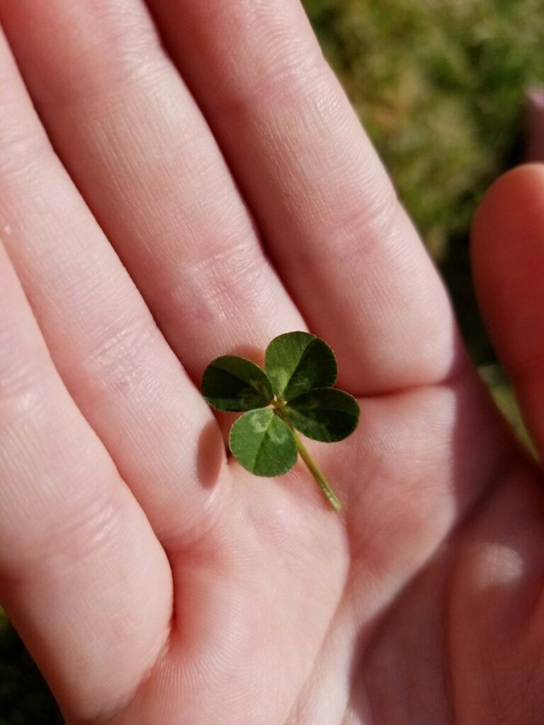 a person holding a small green leaf in their hand